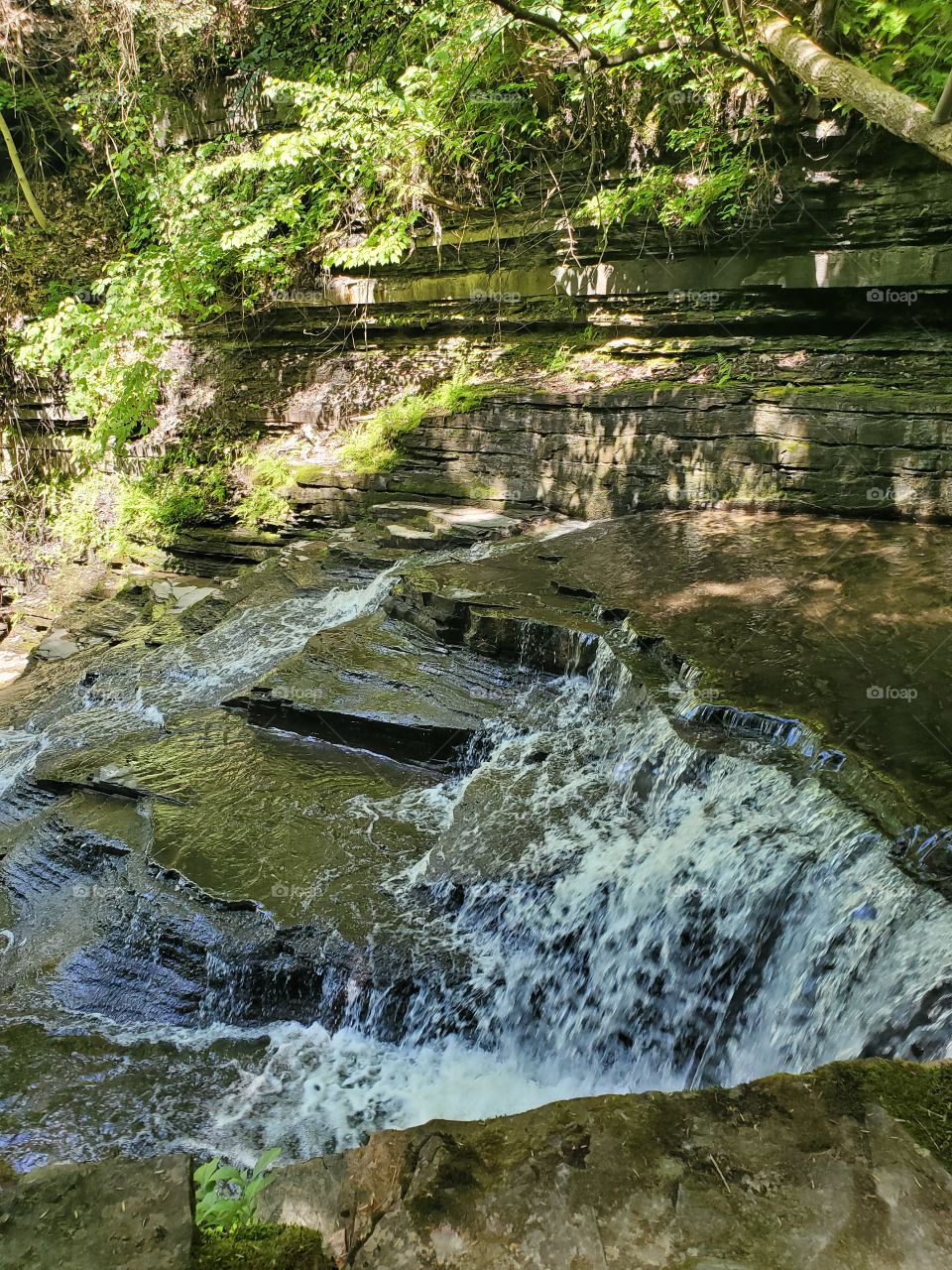 Layers of rocks slowly become a deeper pool below, as water cascades downing a shady grove
