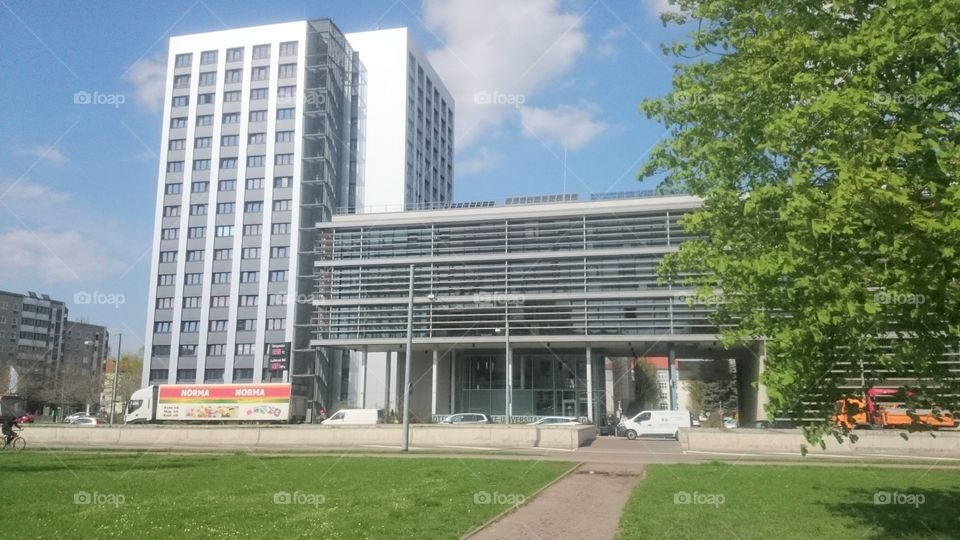 An office building in a busy but also green city