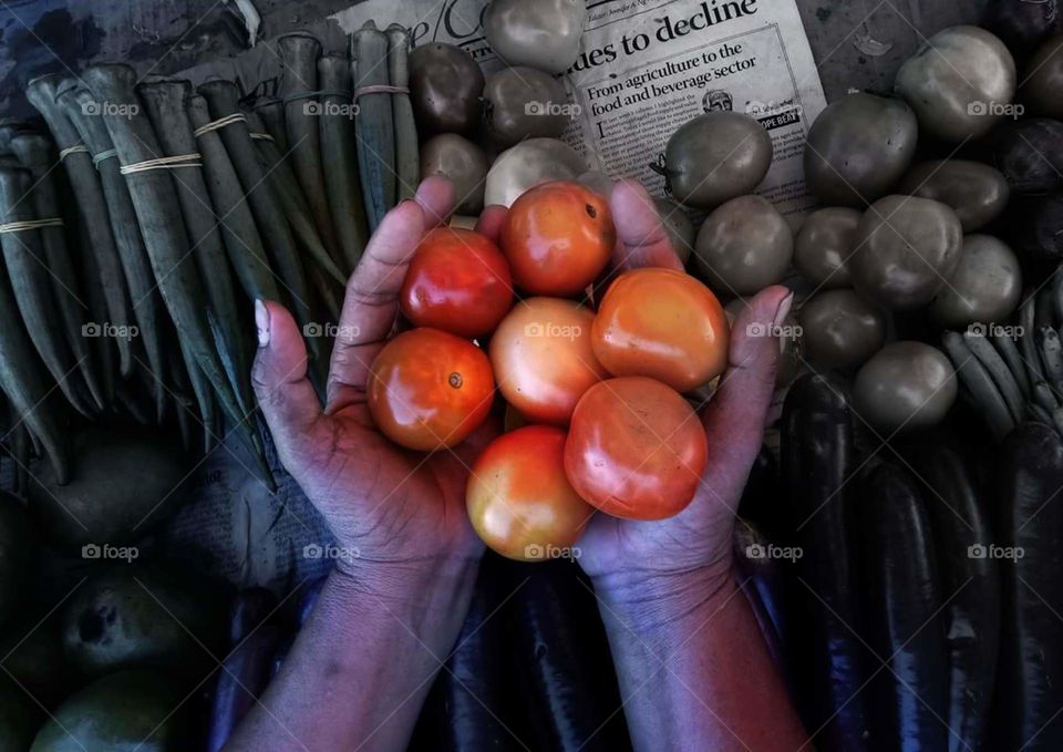 tomatoes