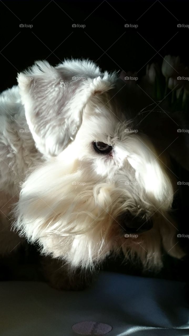 My little boy ❤️