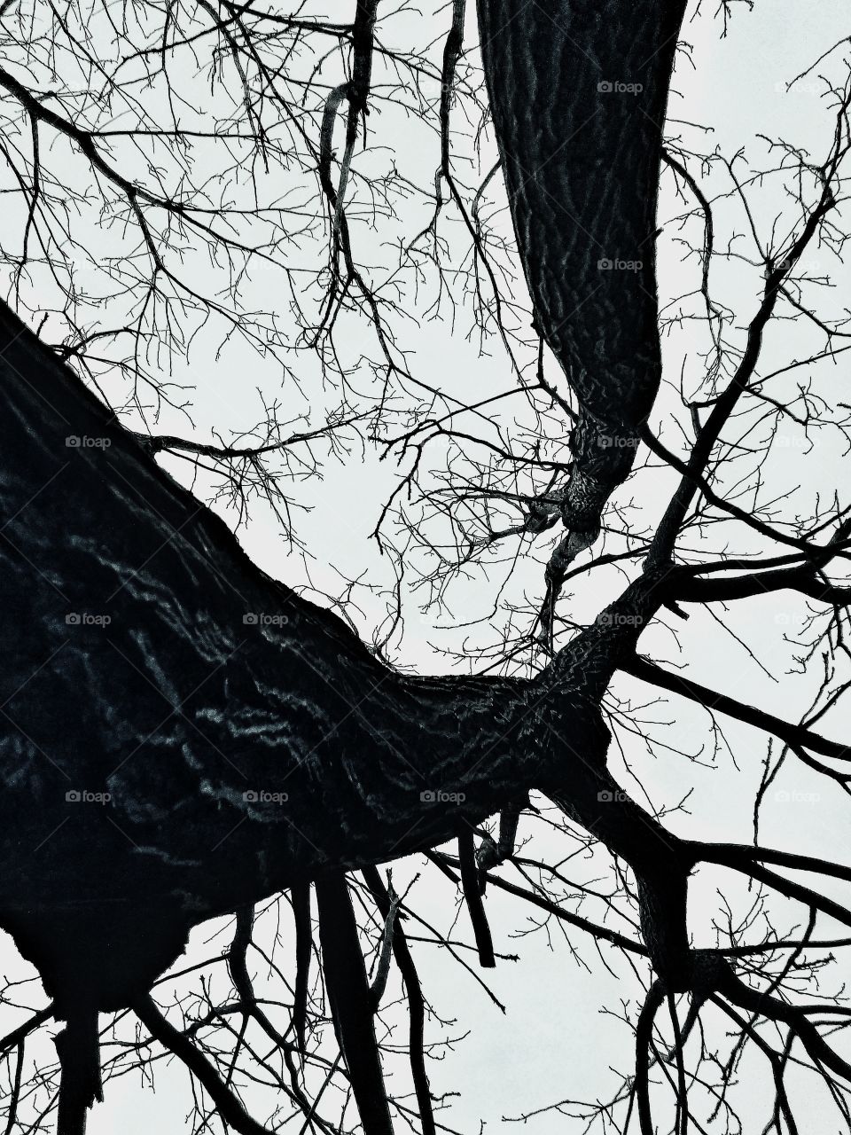 подойдёт для чего угодно, темное. Минимализм.