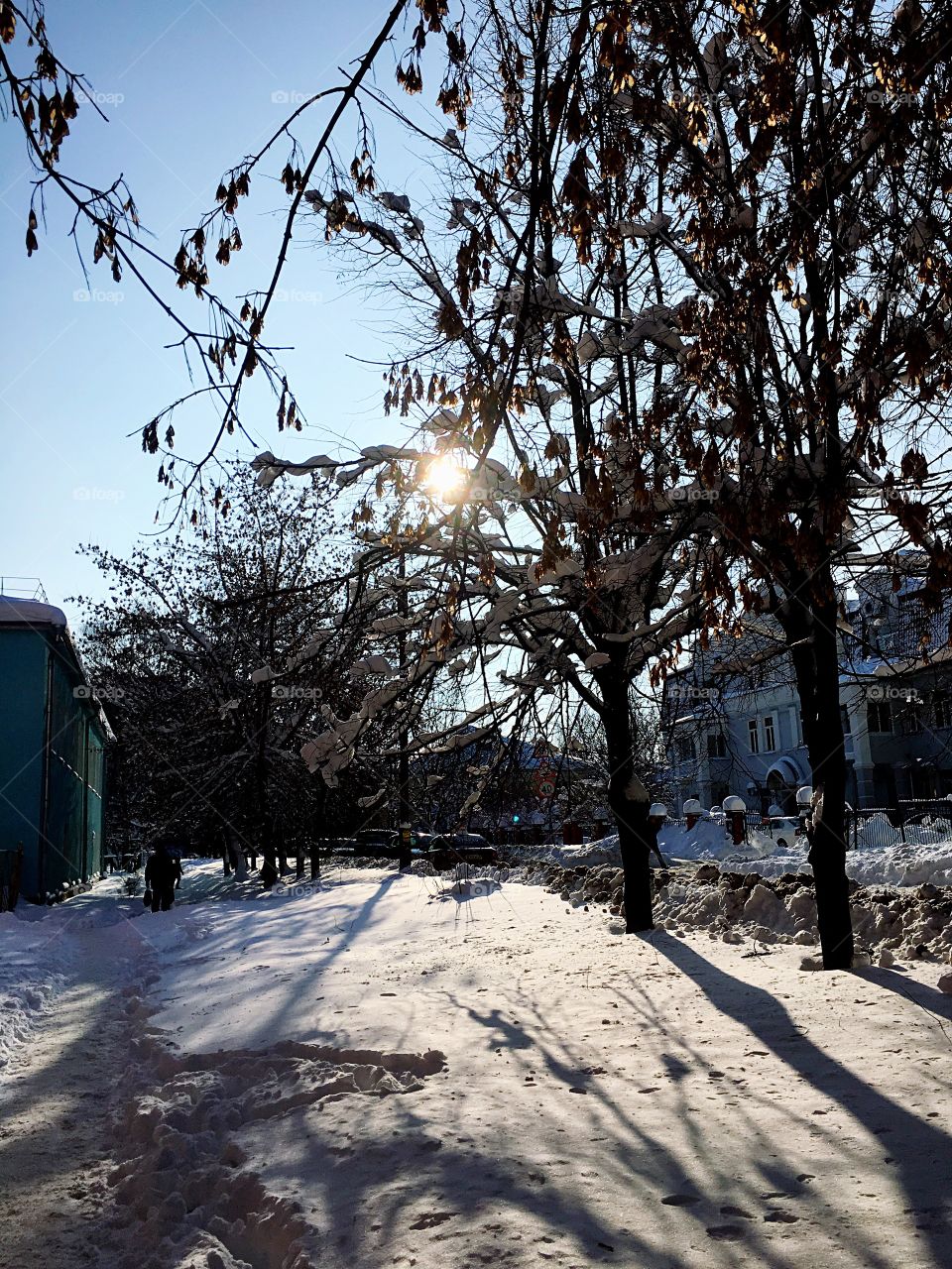 winter morning in the city