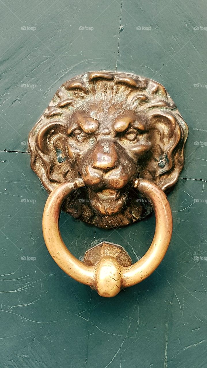 Doorknocker lion