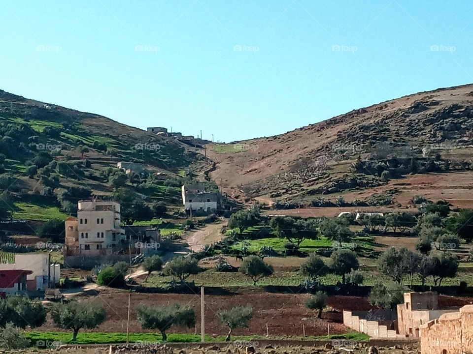 population between the nature