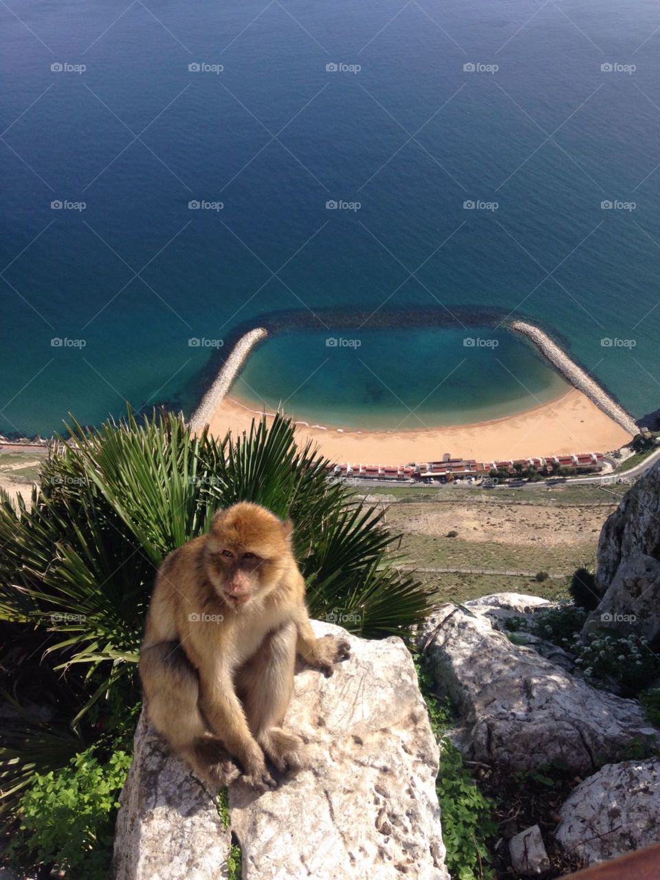 #Beautiful  #beach #Gibraltar #vacation #macaques #naturereserve #travel