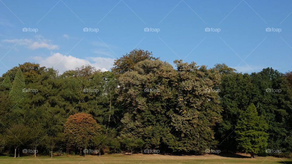 Park "Den Brandt" in Antwerp