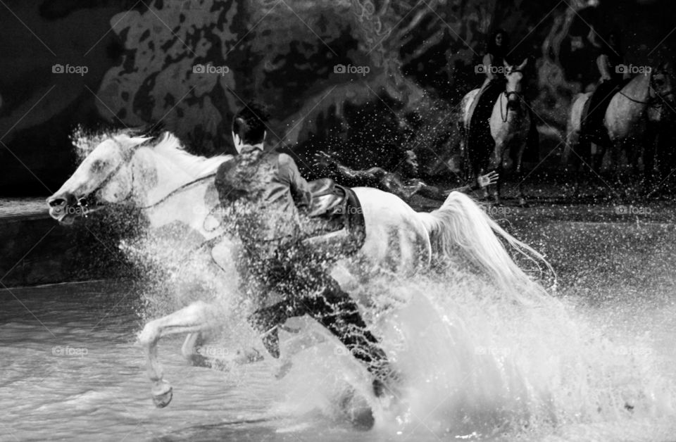 Asia China Beijing Cavaliar horse show artist jump on horse water sprays black and white fast horse