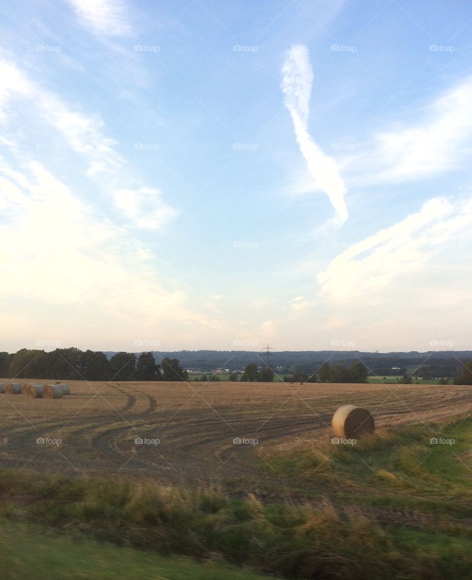 Fields in september