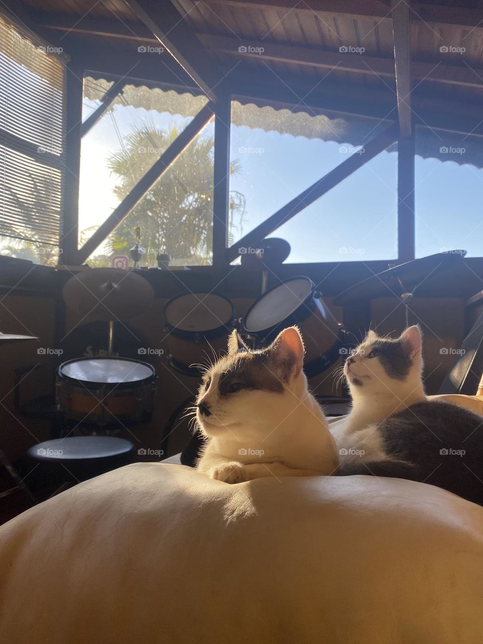 Sunbath with Branca and Joji ❤️