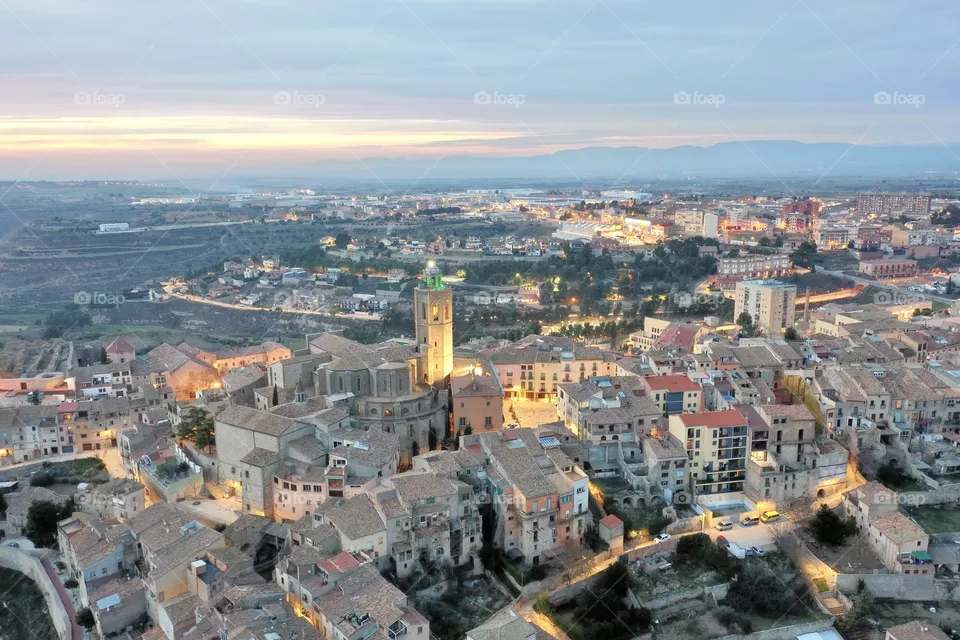 Cervera magica
