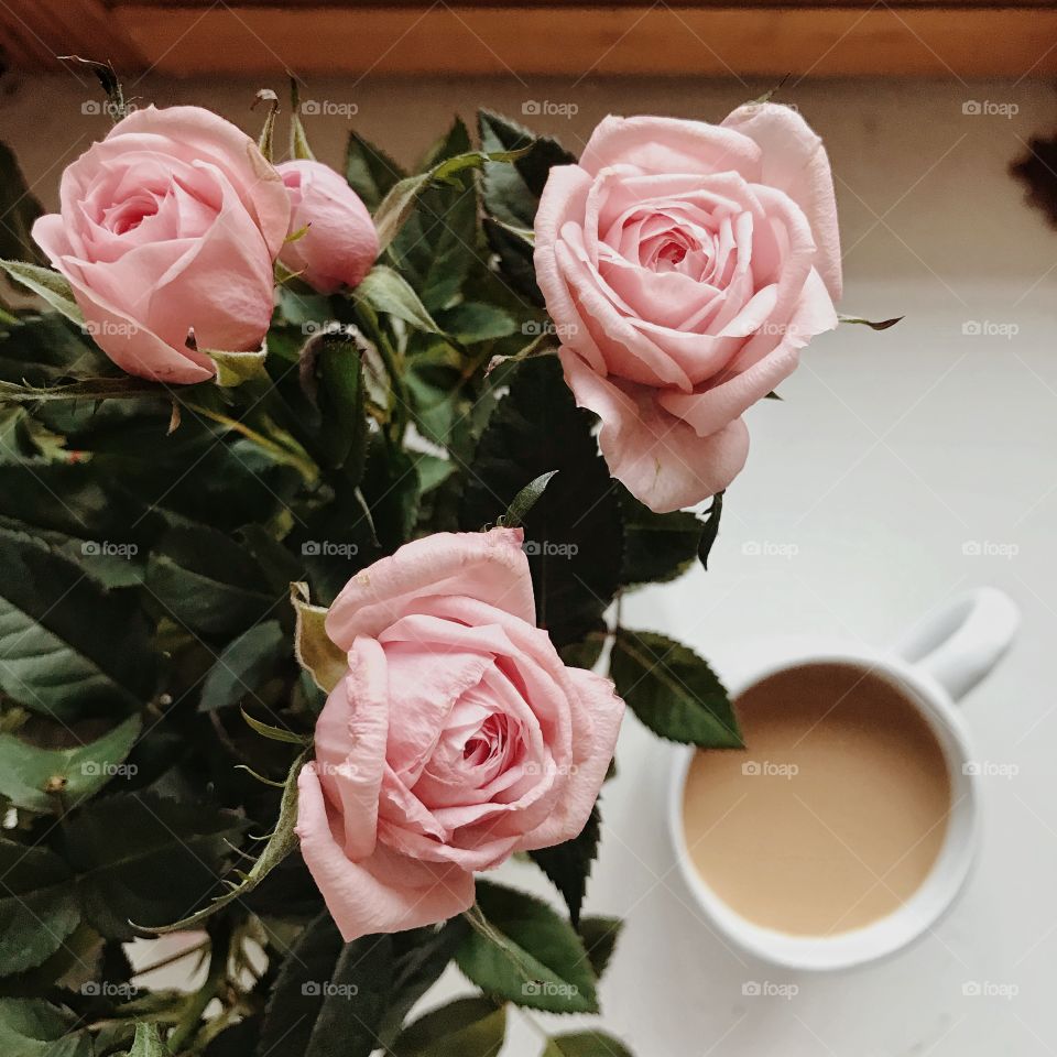 Rosés and coffee