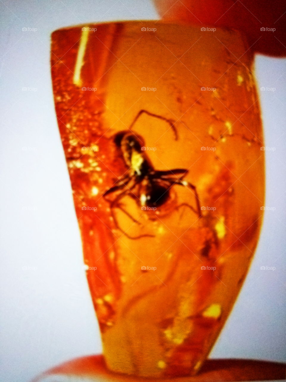 orange colour atraction