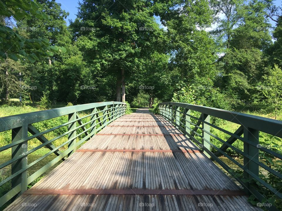 Bridge across lake