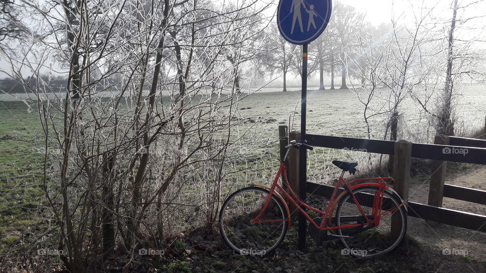 winter bike