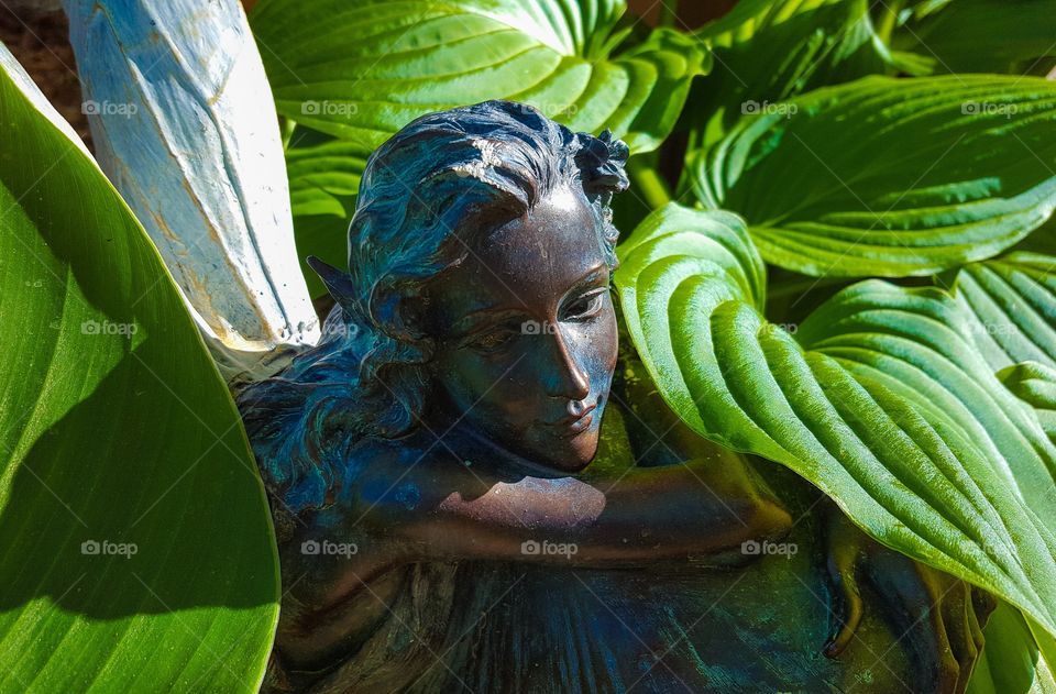 Garden Fairy- A lovely little fairy relaxing in the hostas.