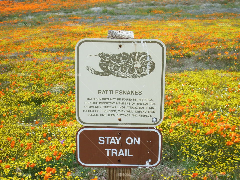 Saw this sign right after I told my cohorts to watch out... California Poppy field.