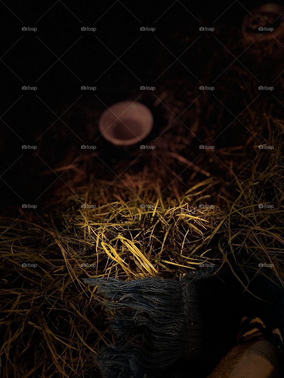 Amazing day with my sweet family 