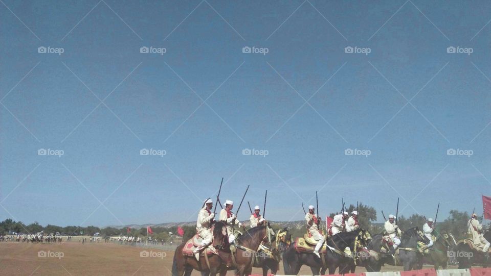 troop of cavalry on horses