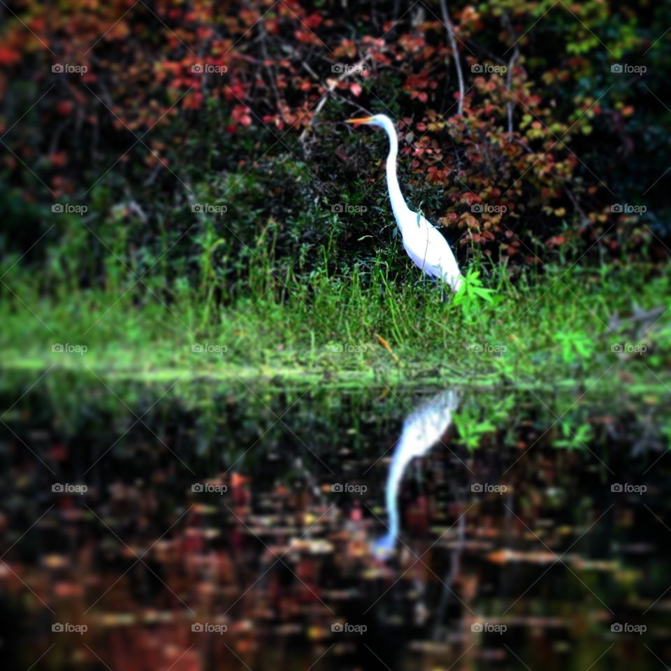 Hello Beautiful, What's Your Name?