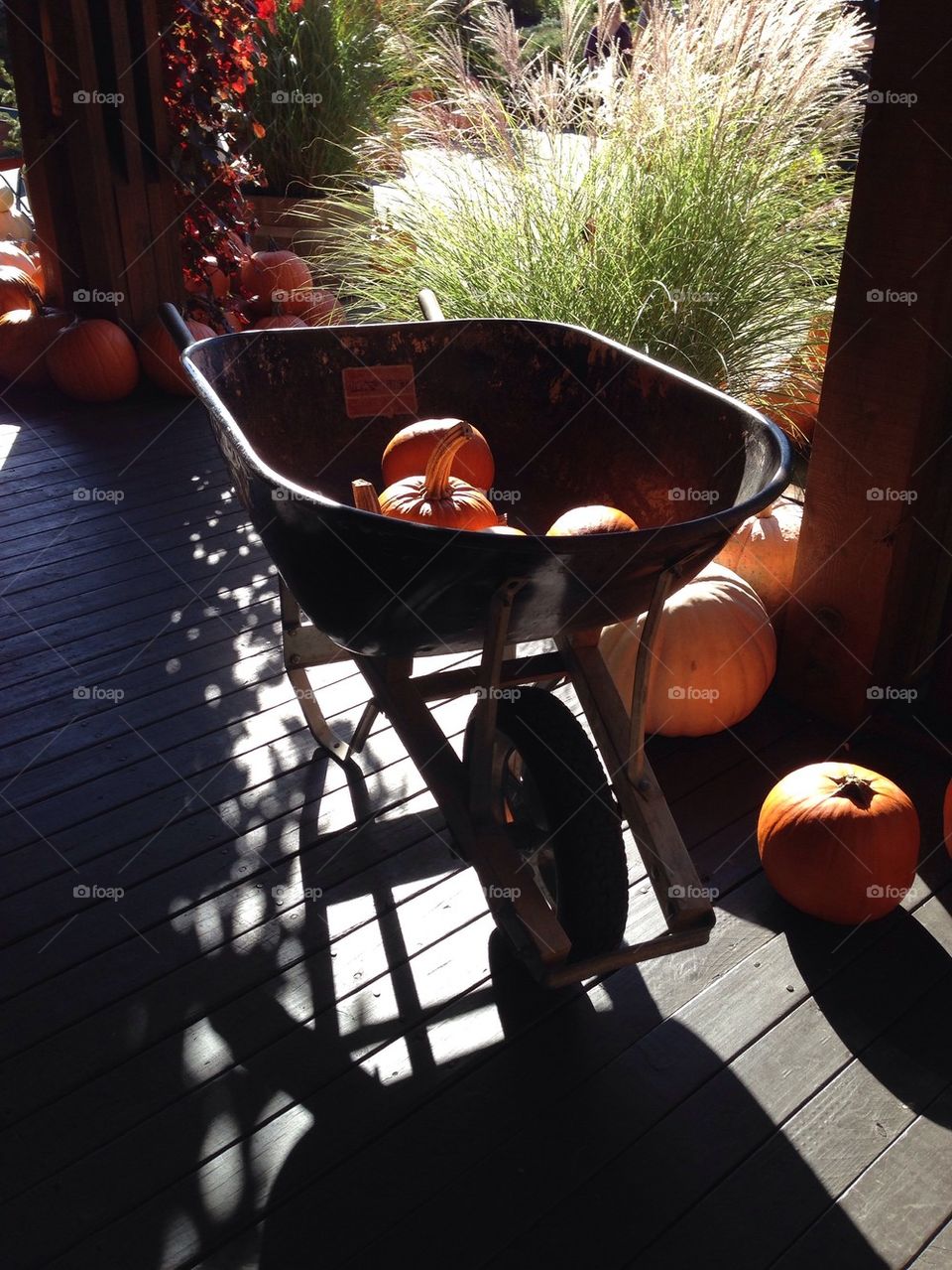 Pumpkin Wheelbarrow 
