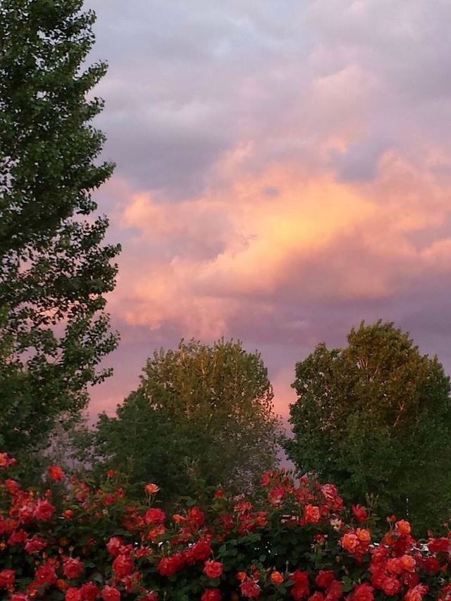 Colors