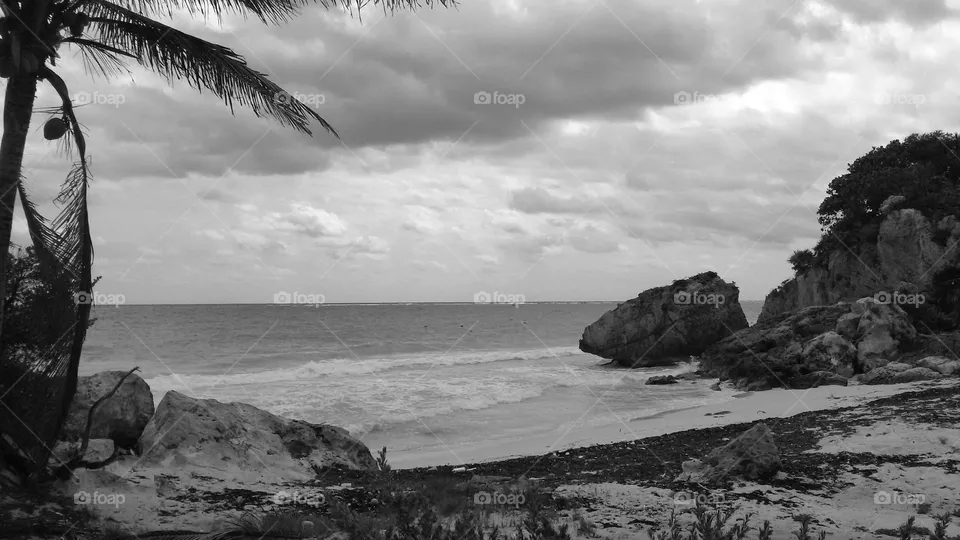 The sea