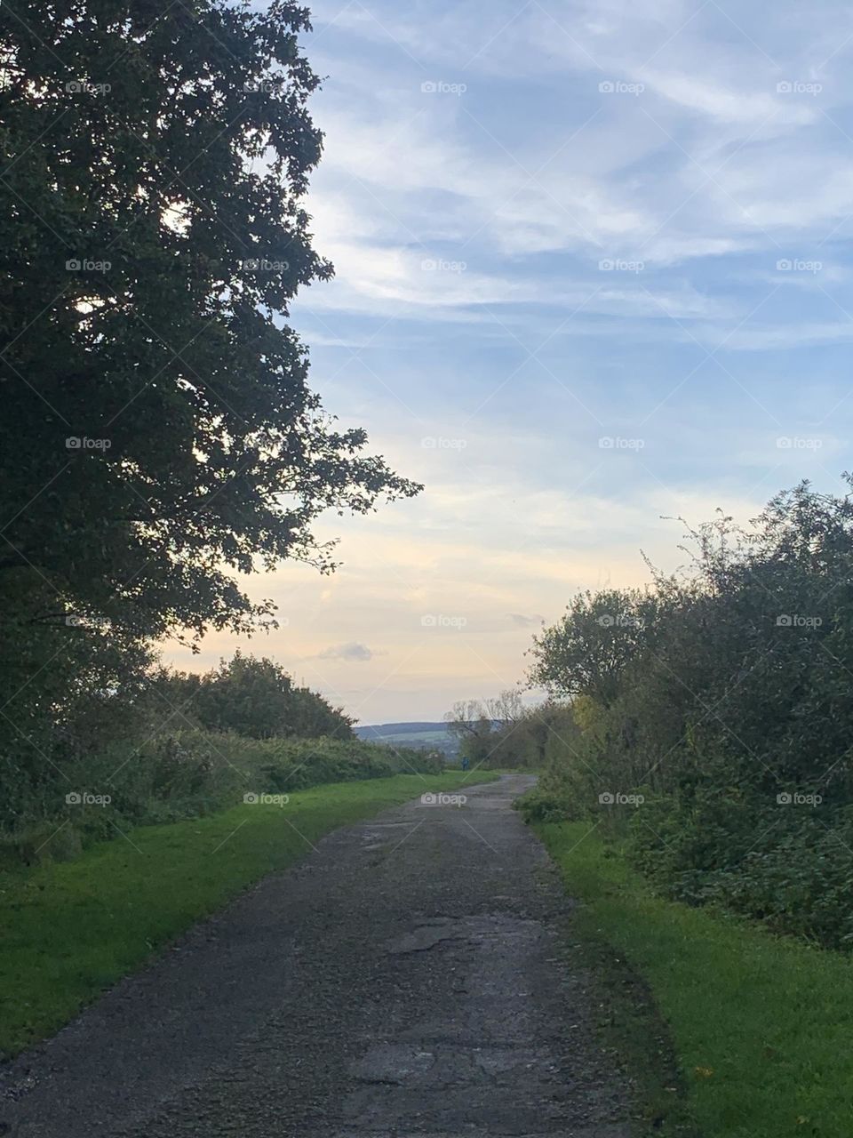 Earths pathways colour portrait