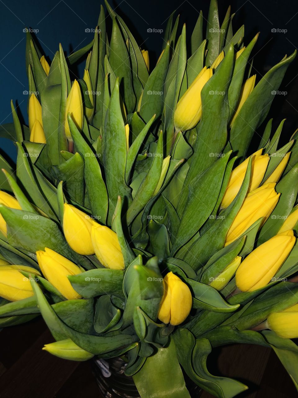 Мои тюльпаны 