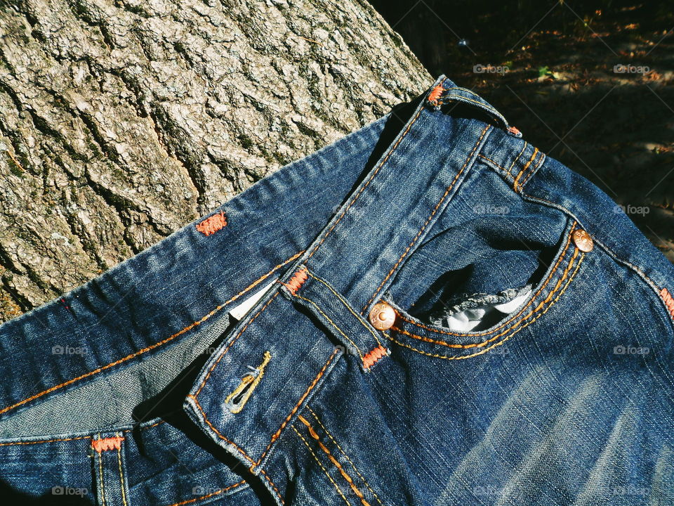 jeans lying on the tree