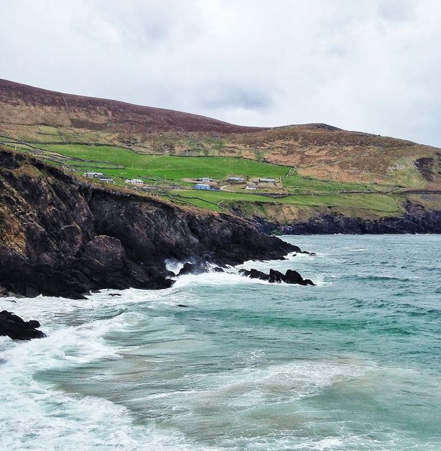 Dingle