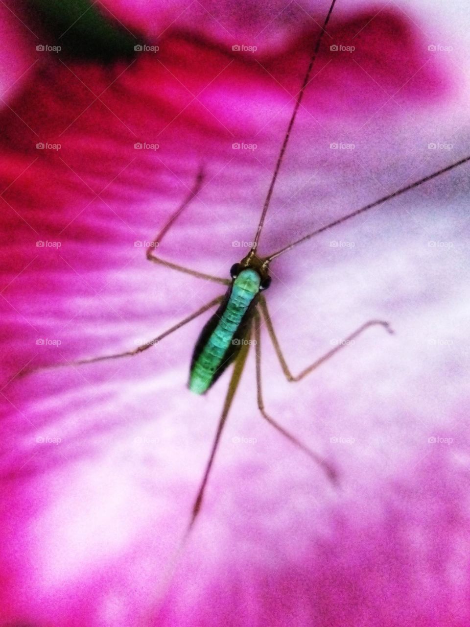 Editors' Choice: Photo of the Week