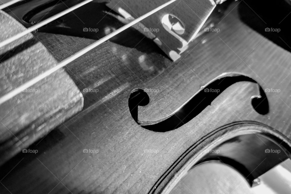 black and white violin f hole