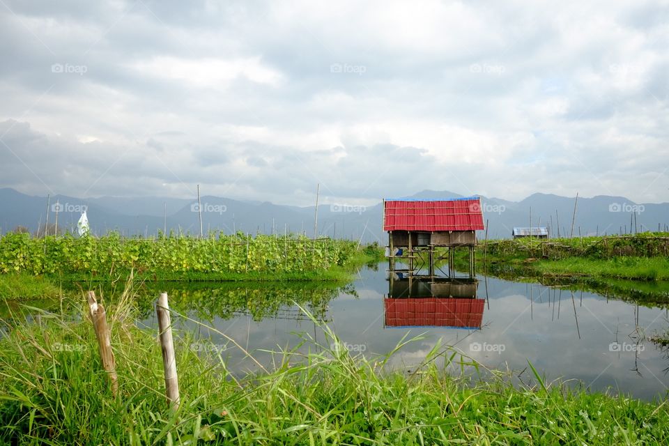 Red and green reflections