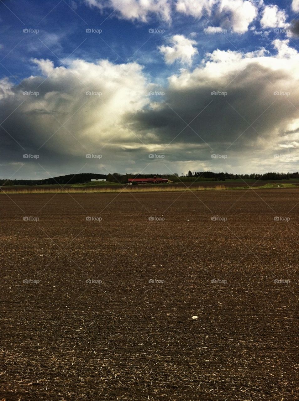 landscape sky field nature by miss_falcon