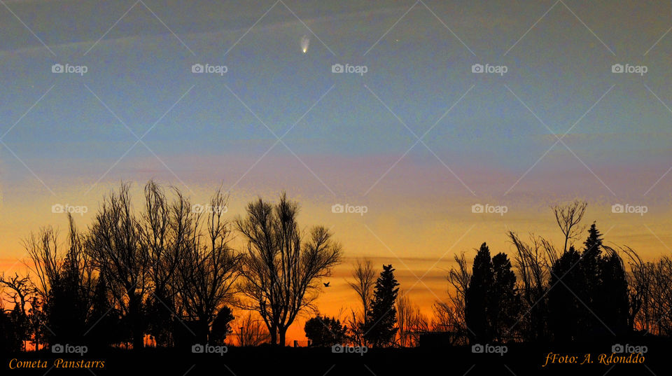 Cometa Panstars