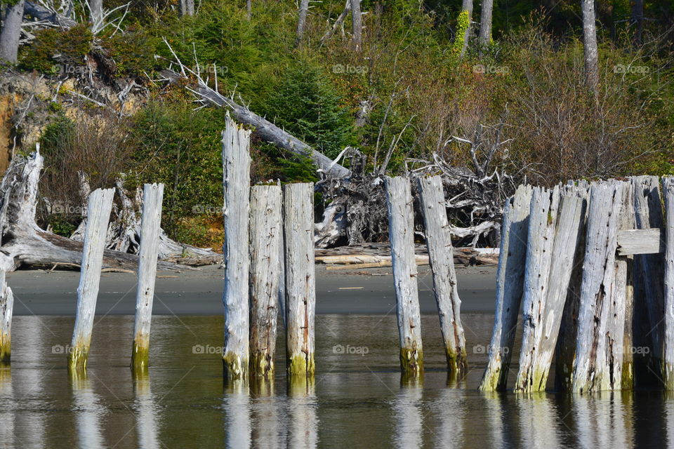 Dock in disrepair 