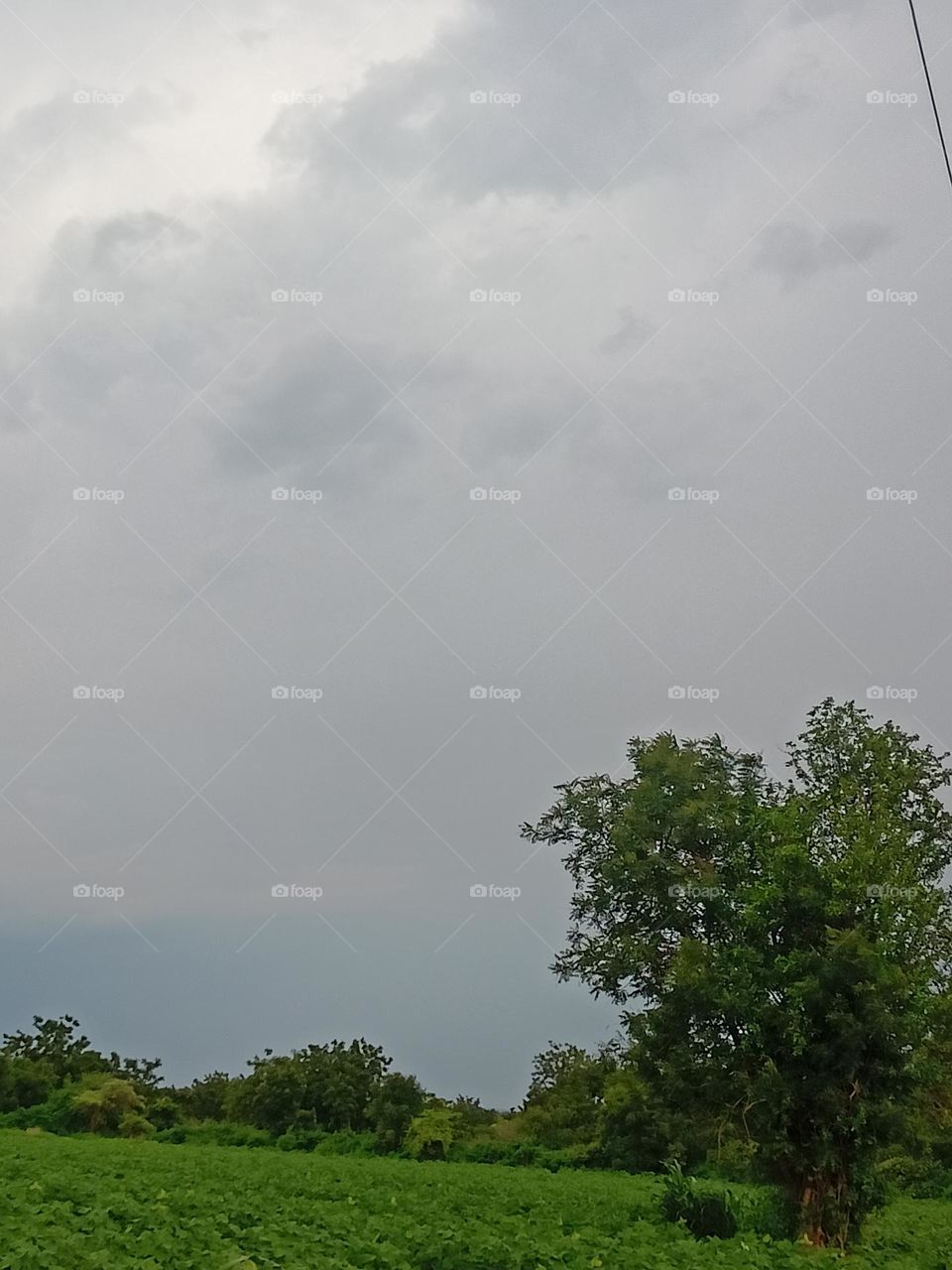 cloud ☁️ Trees ☘️