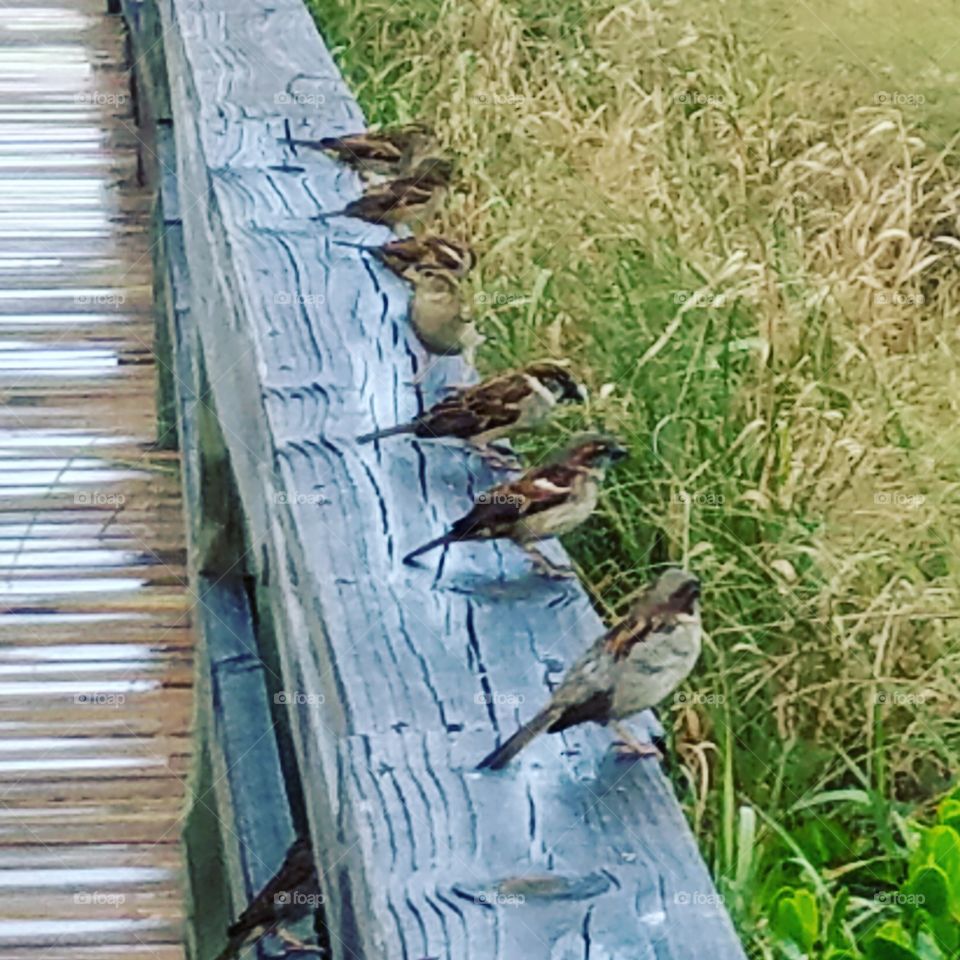 There's always one....