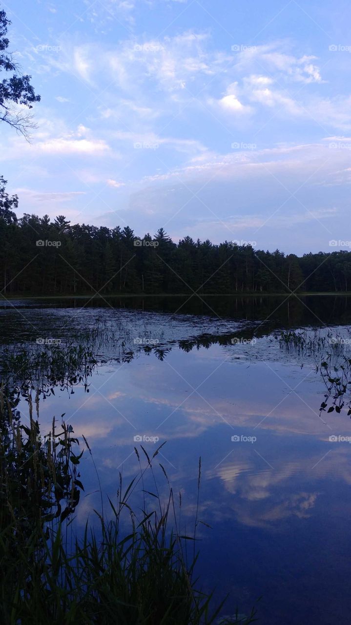 No Person, Landscape, Tree, Lake, Water