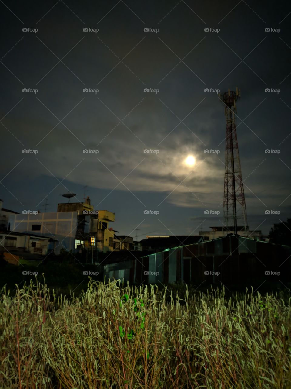 Full moon sky with green grasses. Mobile pole contrast with the sky