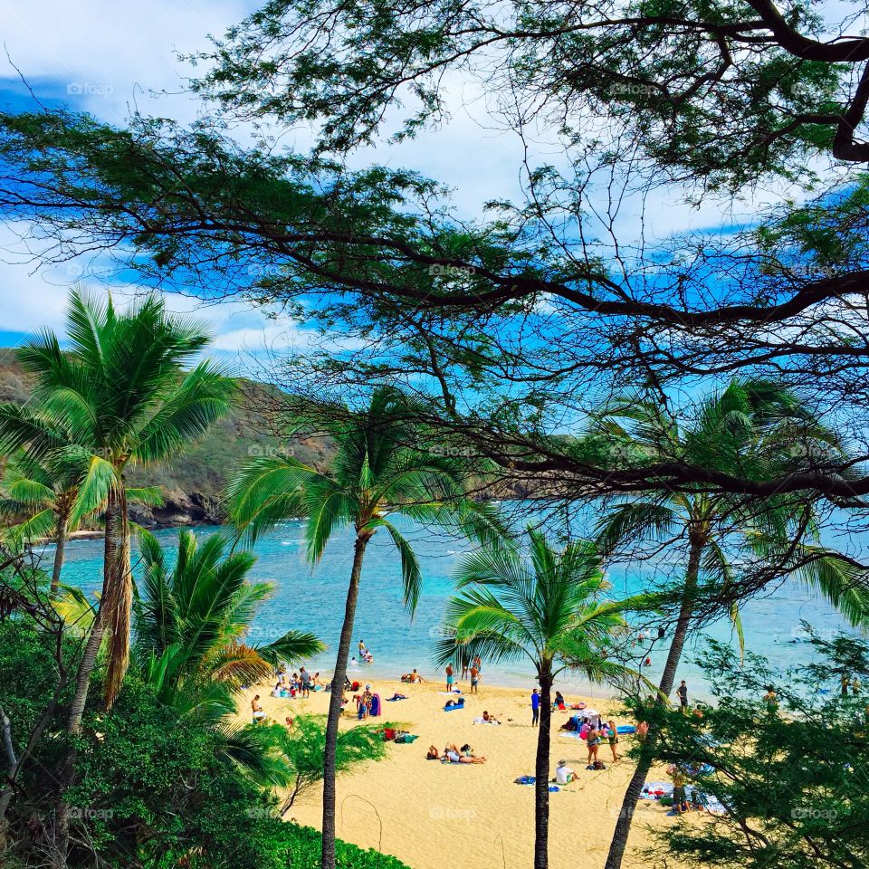 Overlooking Hanuma Bay, Hawaii