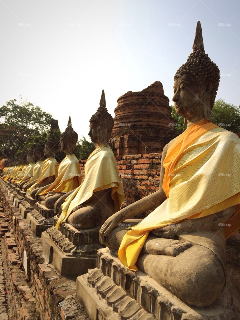 Sitting Buddha statues 