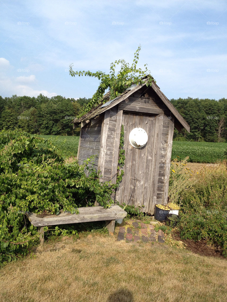 china vines outhouse michigan by detrichpix