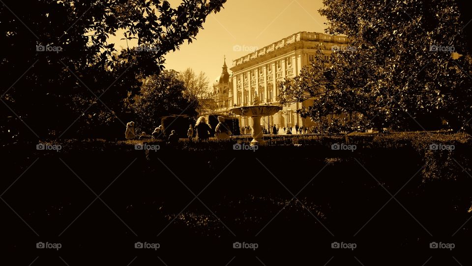 Perspectivas
 Perspectives