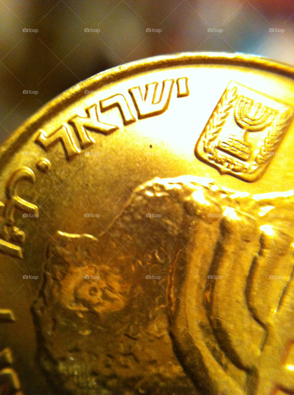 italy lamp gold coin by smandarina