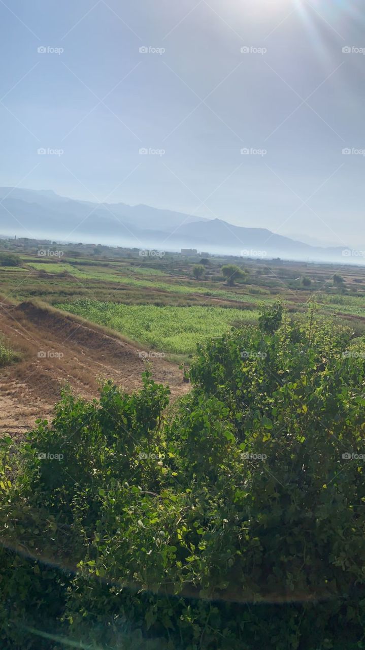 mmmhmm2001@gmail.com