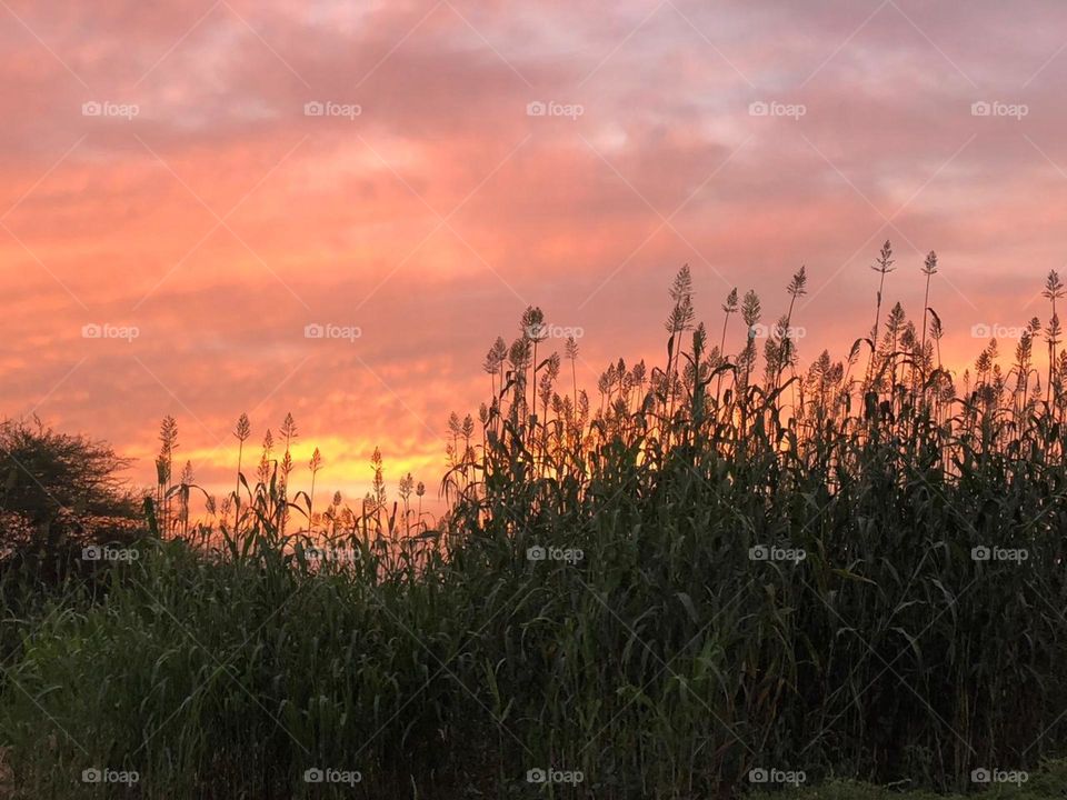 I need your support guys, I'm very, very poor, poor