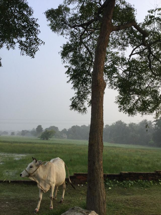 Hello, India!
