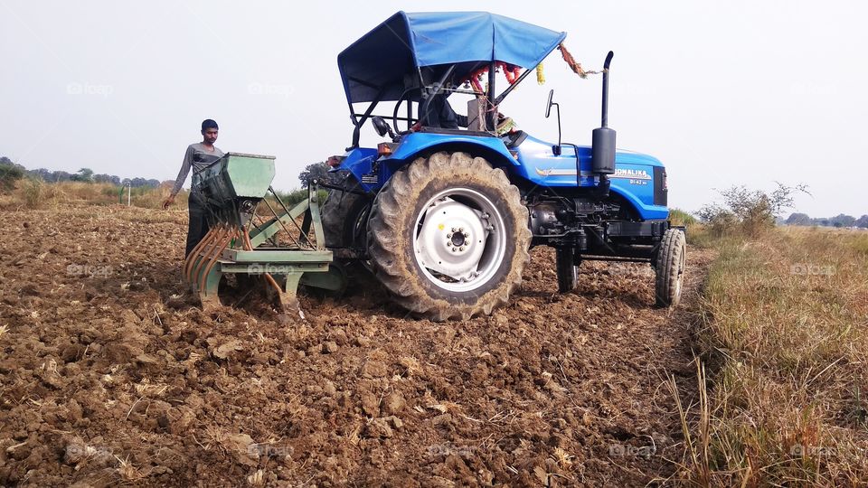 seeding the field