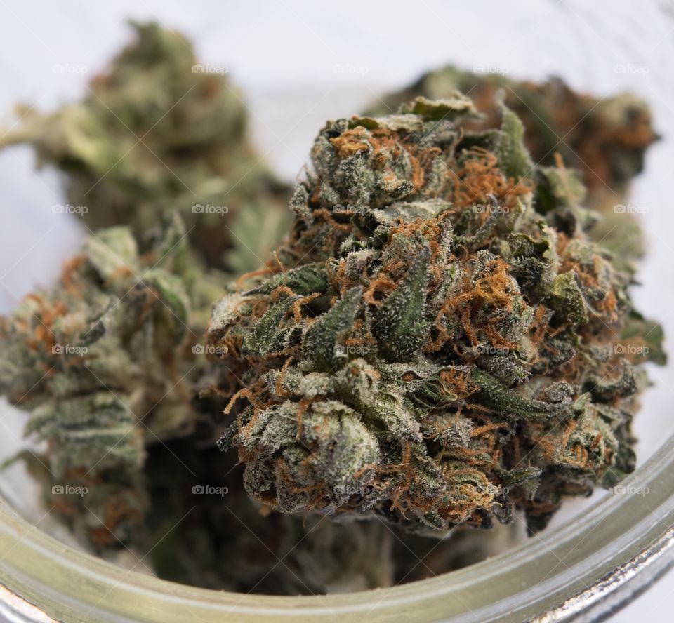 2016 uploads variety of shots